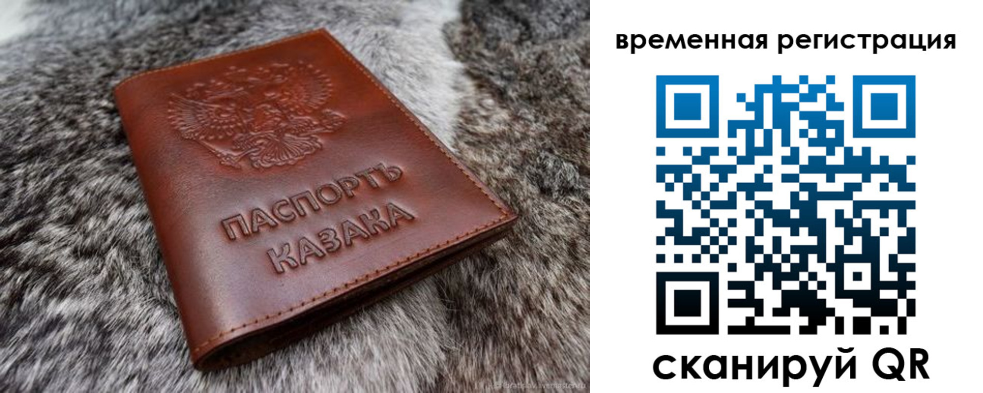 прописка 2025 в Лесозаводске